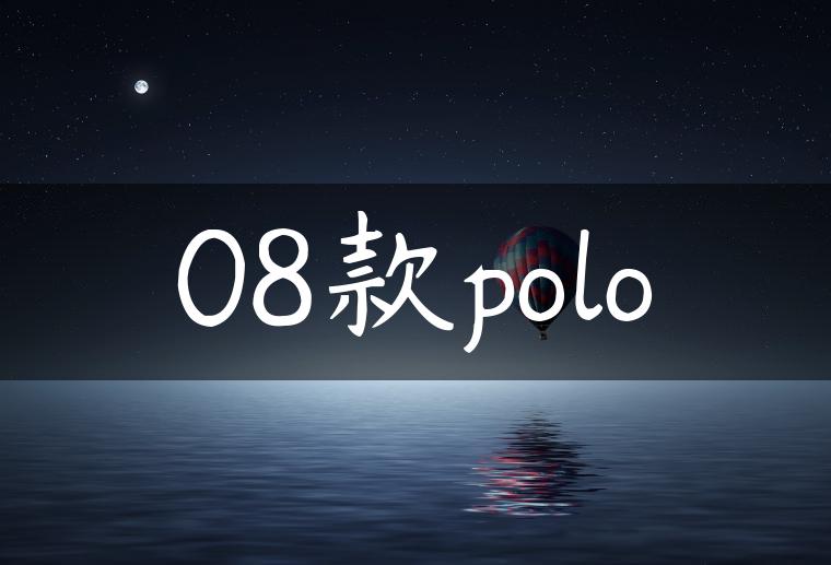 08款polo