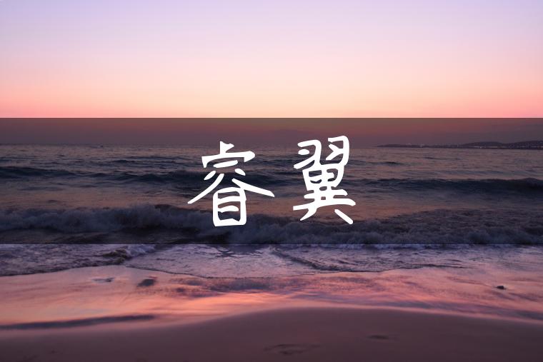 睿翼