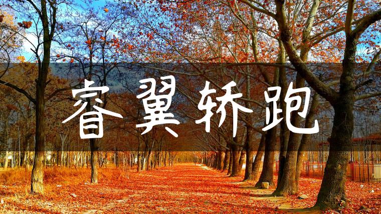 睿翼轿跑