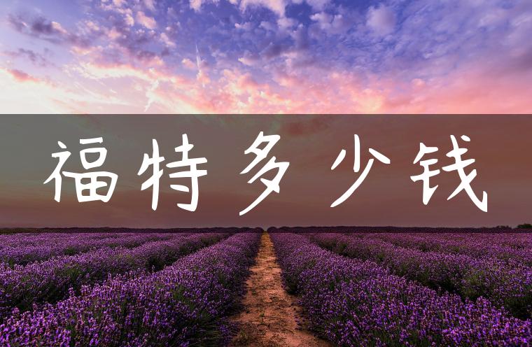 福特多少钱