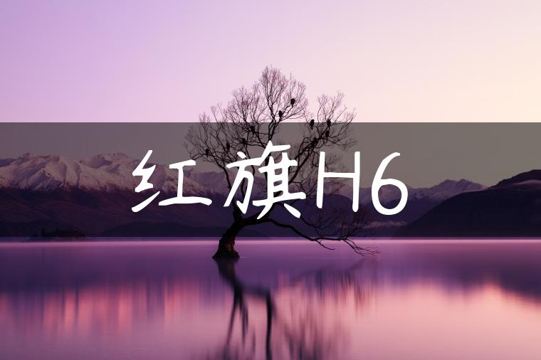 红旗H6