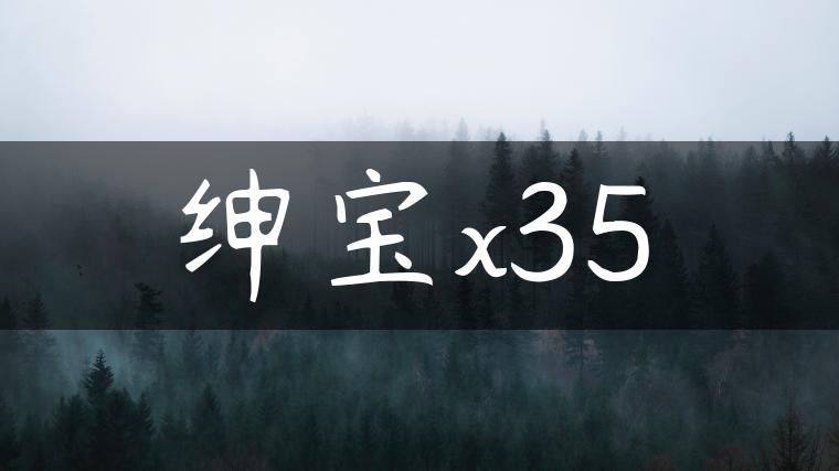 绅宝x35