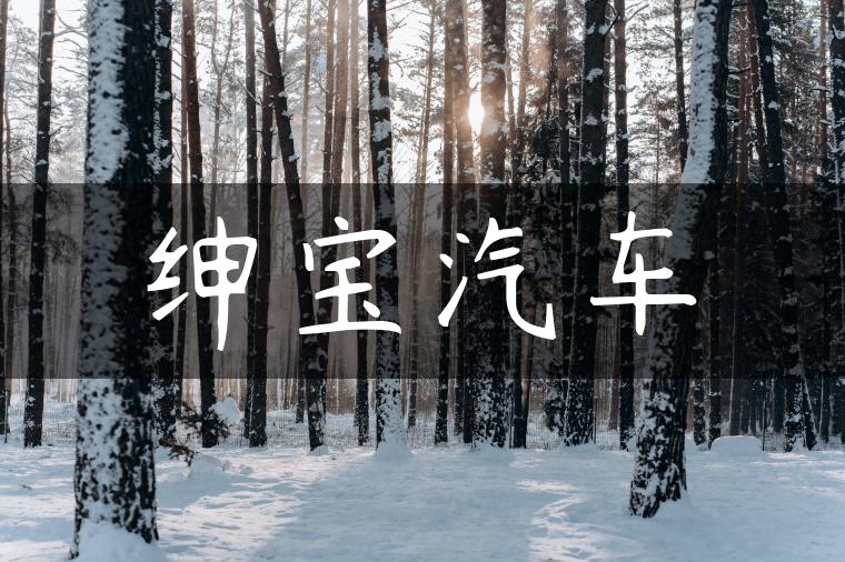 绅宝汽车