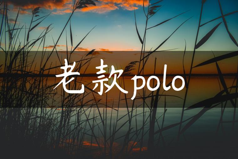 老款polo