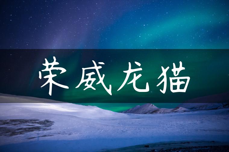 荣威龙猫-金牌车友