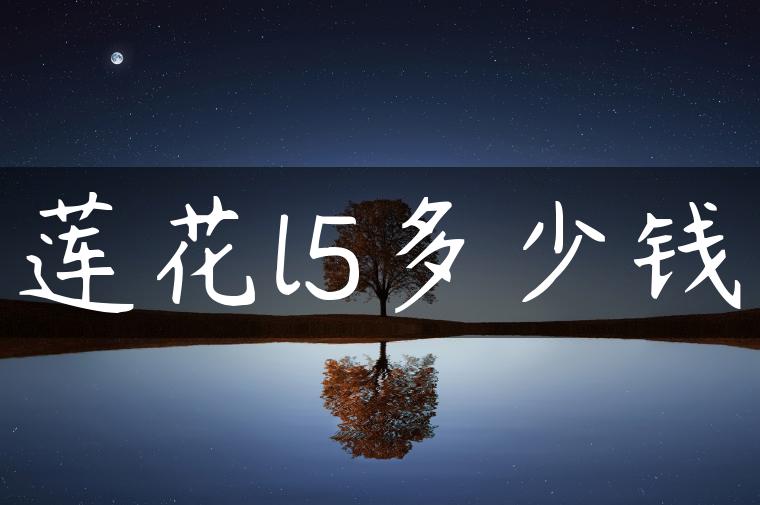 莲花l5多少钱