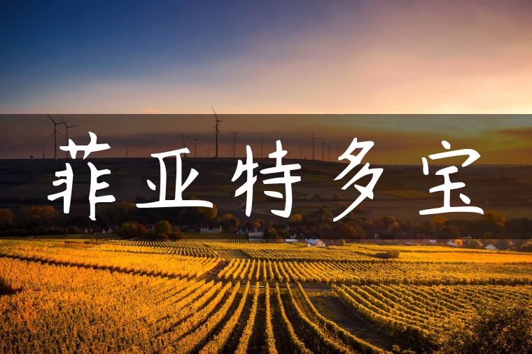 菲亚特多宝-金牌车友