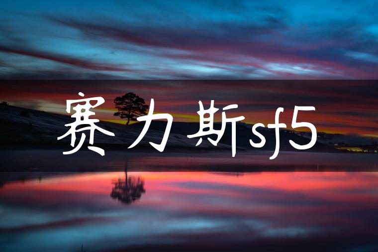 赛力斯sf5