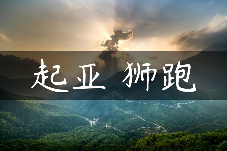 起亚 狮跑