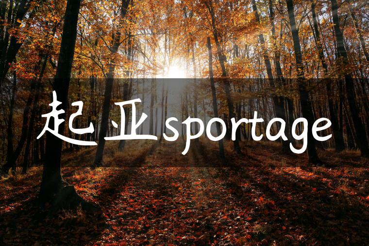 起亚sportage