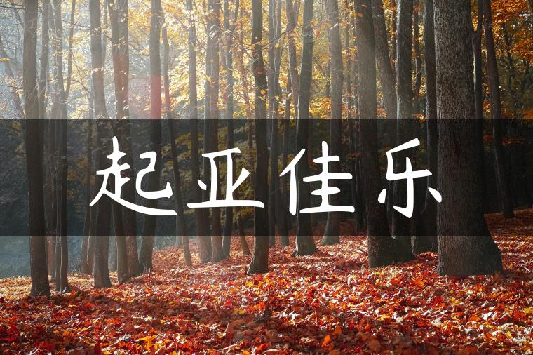 起亚佳乐