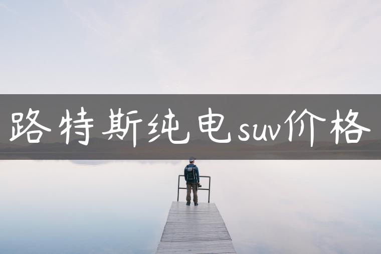 路特斯纯电suv价格