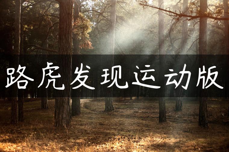 路虎发现运动版