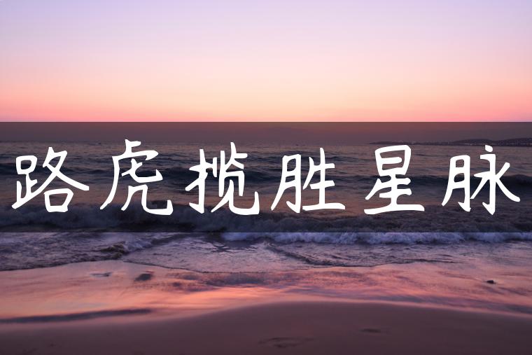 路虎揽胜星脉