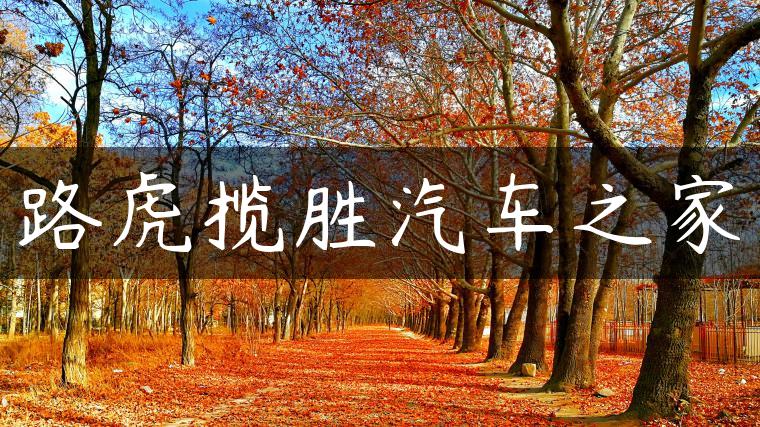 路虎揽胜汽车之家