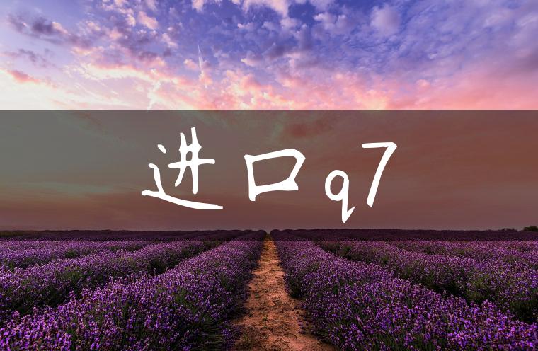 进口q7-金牌车友