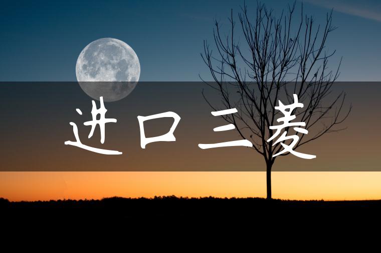 进口三菱
