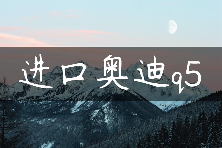 进口奥迪q5-金牌车友