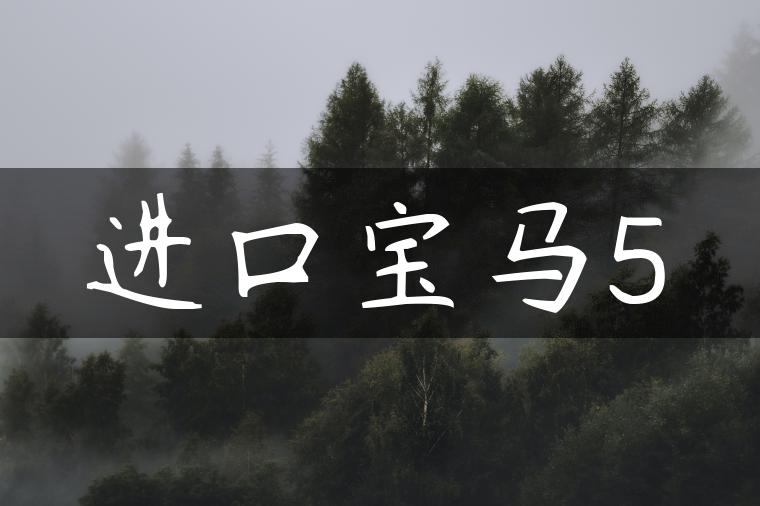 进口宝马5