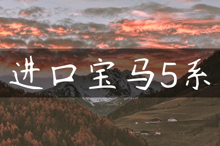 进口宝马5系