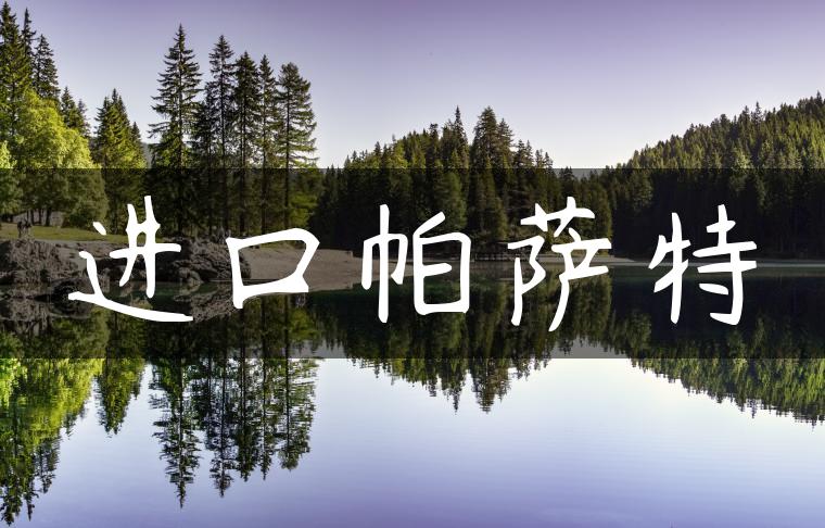 进口帕萨特