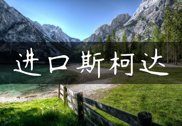 进口斯柯达