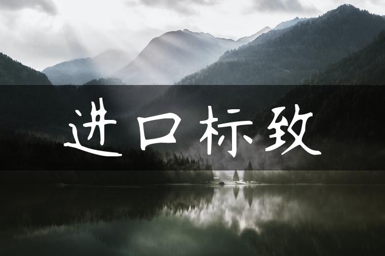 进口标致