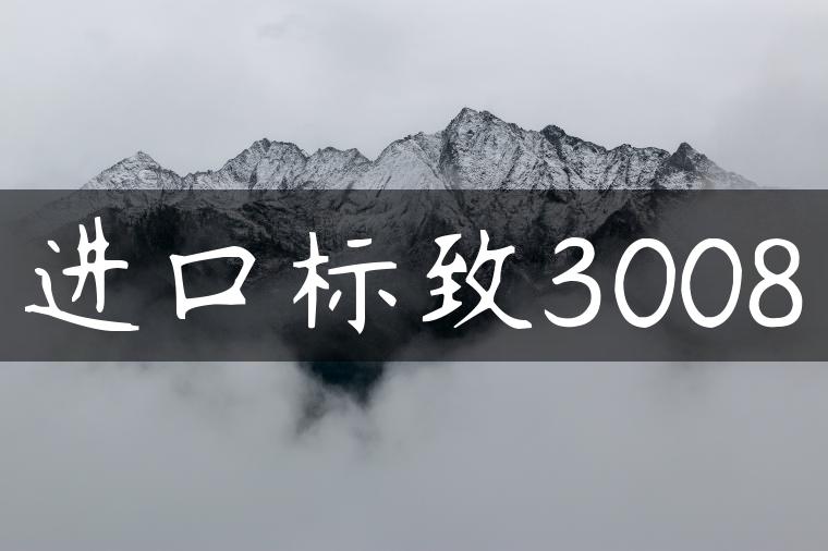 进口标致3008