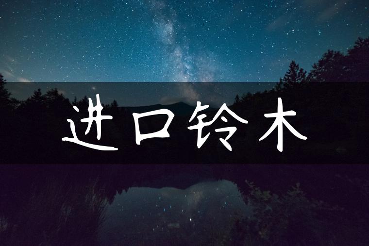 进口铃木