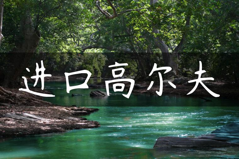 进口高尔夫