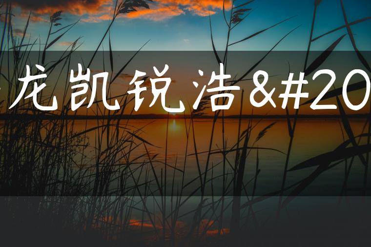 金龙凯锐浩克