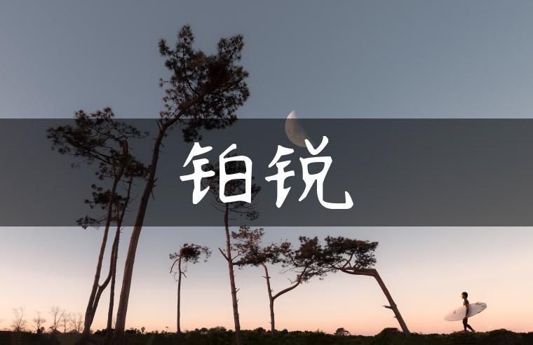 铂锐