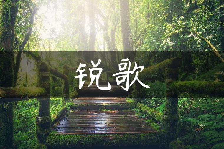 锐歌