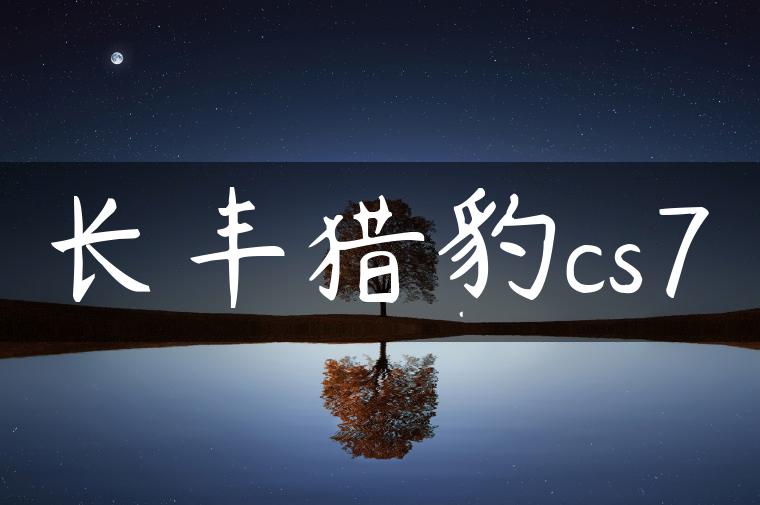 长丰猎豹cs7