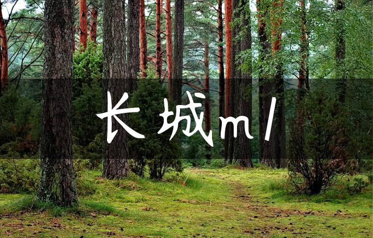 长城m1