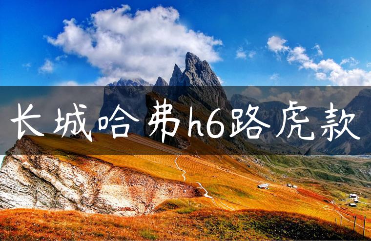 长城哈弗h6路虎款