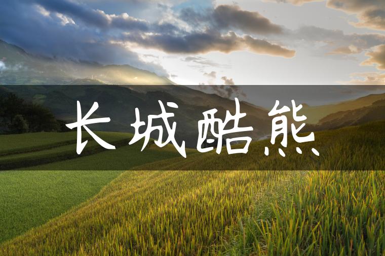 长城酷熊