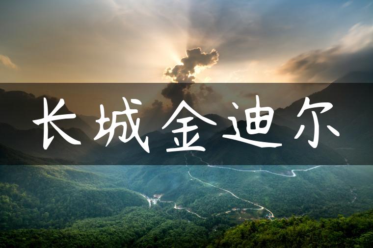 长城金迪尔