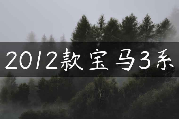 2012款宝马3系