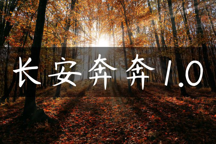 长安奔奔1.0