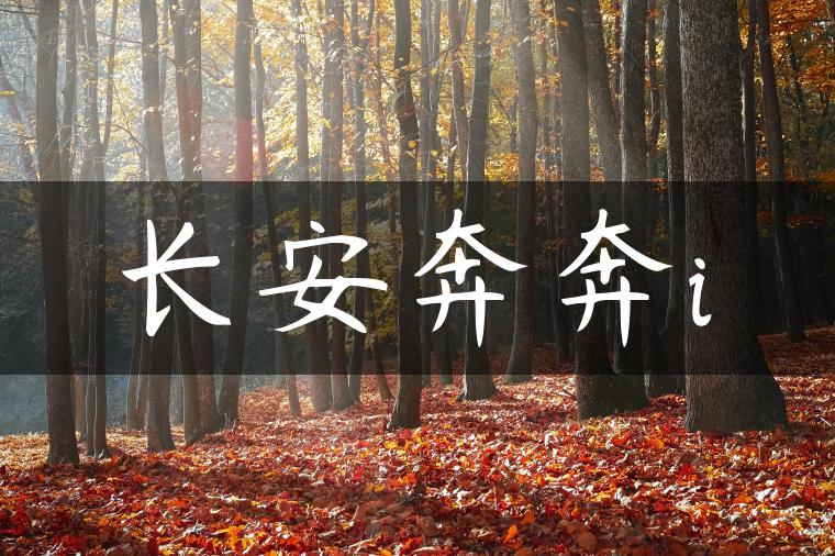长安奔奔i