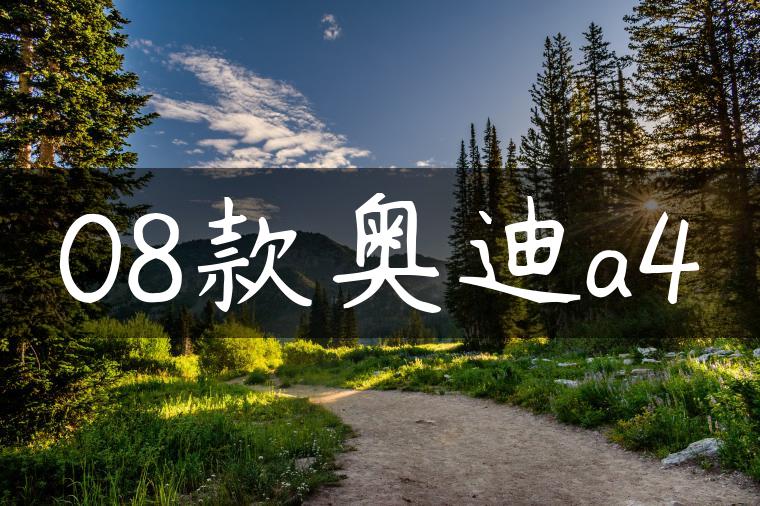 08款奥迪a4