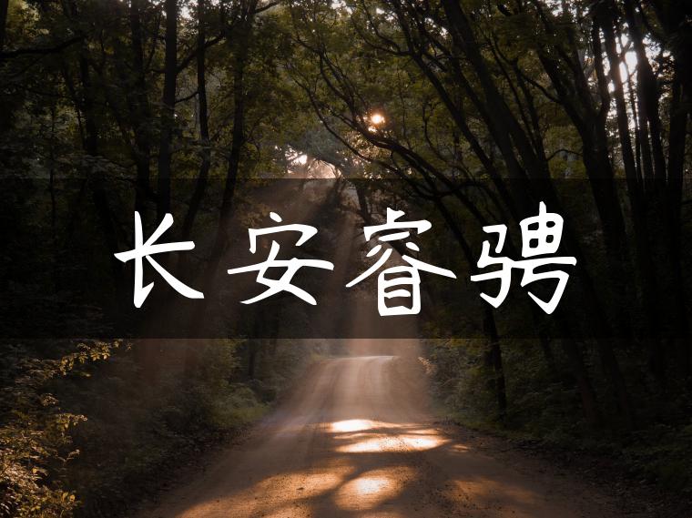 长安睿骋