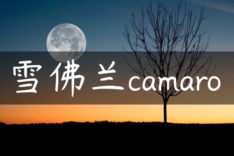雪佛兰camaro