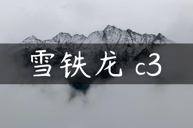 雪铁龙 c3
