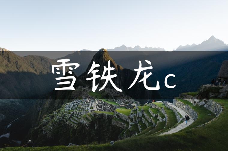 雪铁龙c