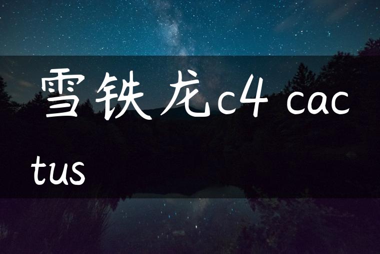 雪铁龙c4 cactus