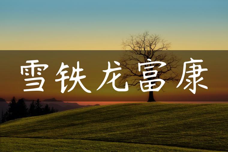 雪铁龙富康