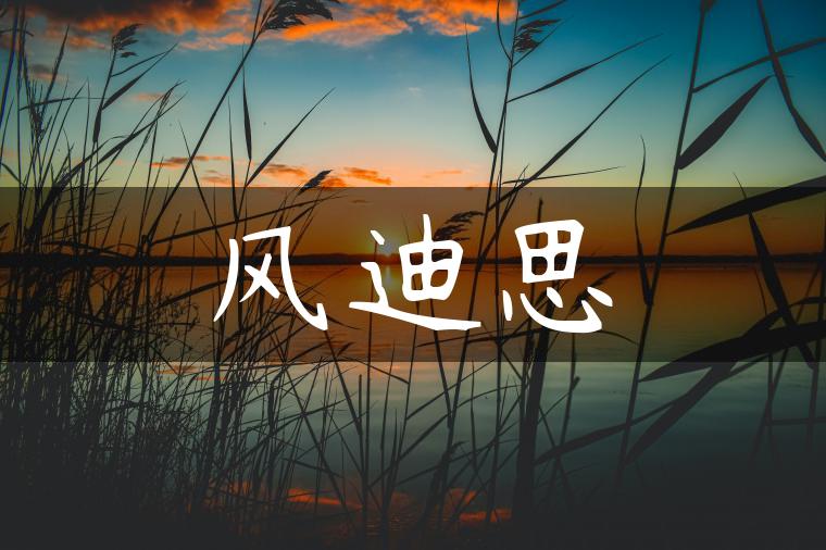 风迪思