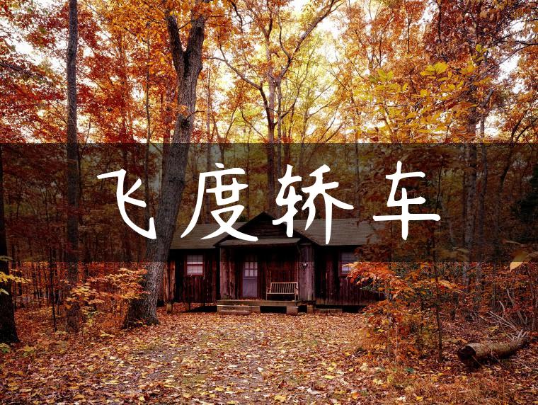 飞度轿车